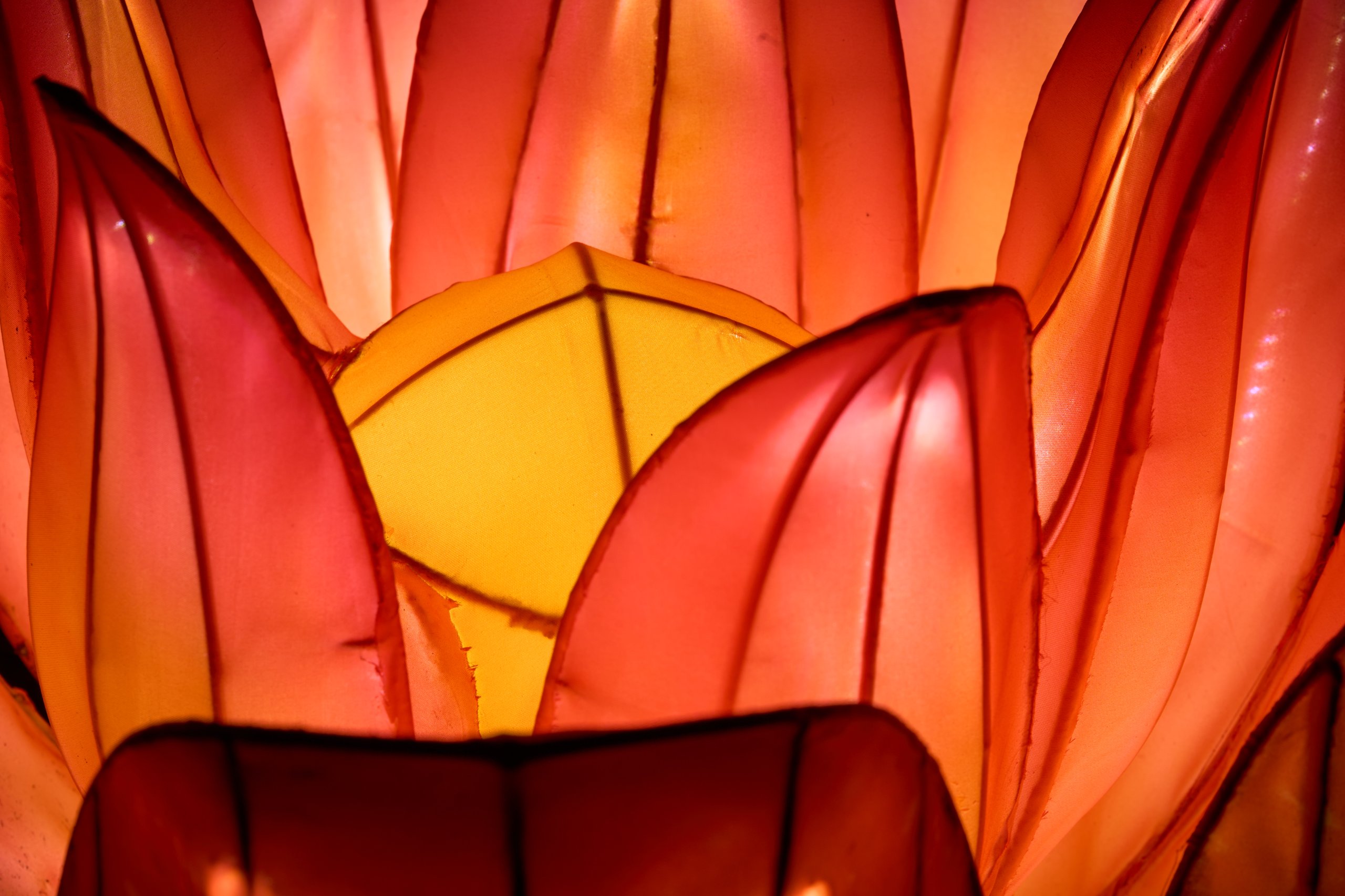 2026 02 03 Parkleuchten 0293